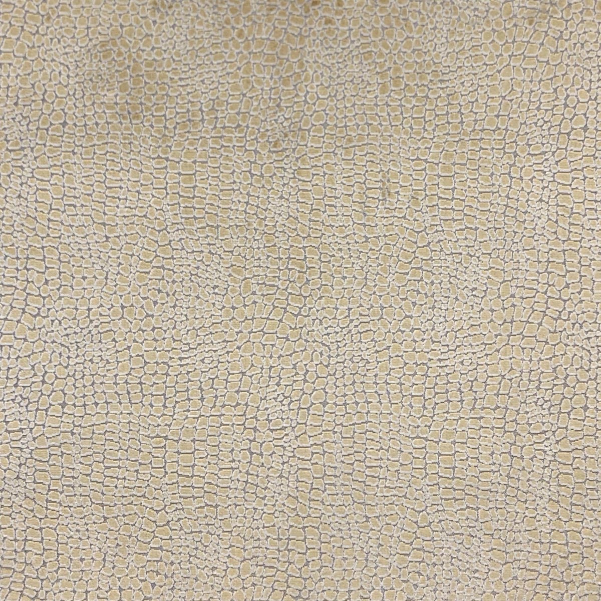 CAYMAN HONEY Mag Fabrics