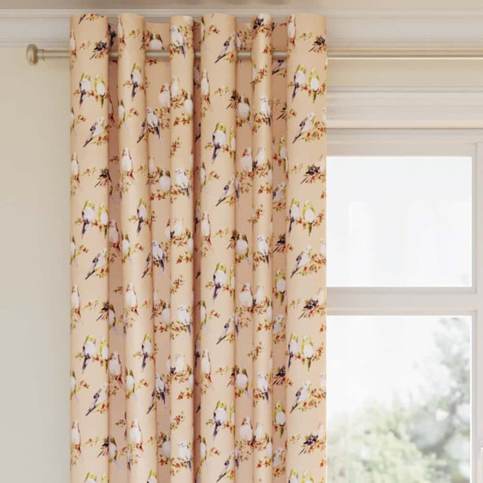 CB600-205 Fabric CB600-205 Charlotte Fabrics