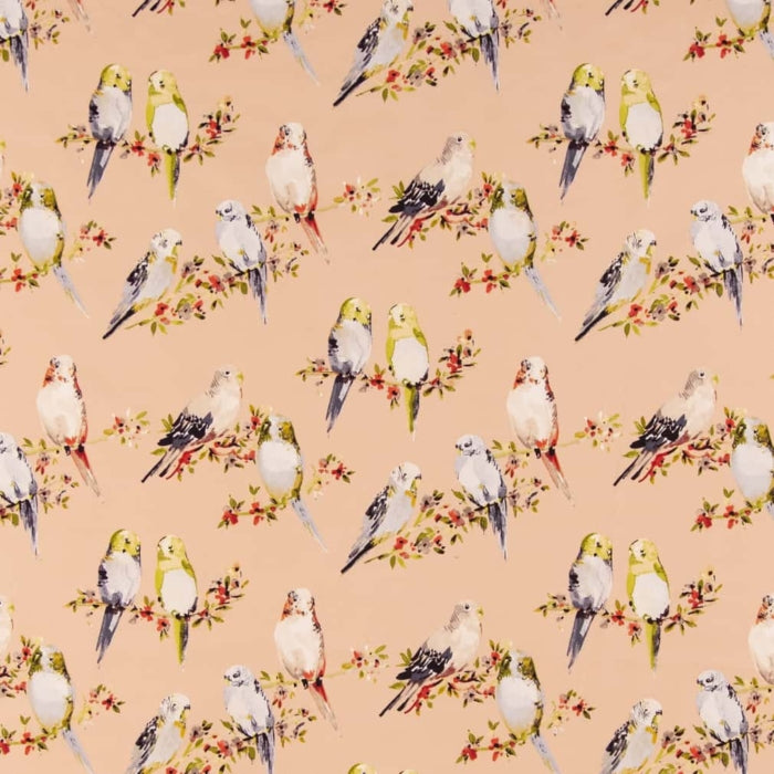 CB600-205 Fabric CB600-205 Charlotte Fabrics