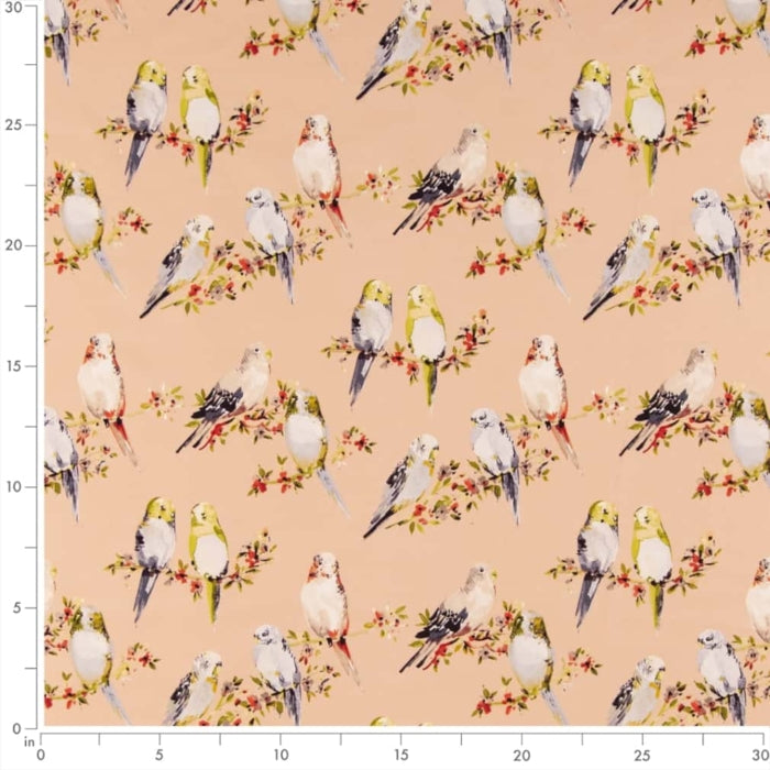 CB600-205 Fabric CB600-205 Charlotte Fabrics