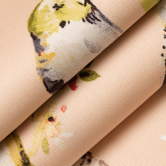 CB600-205 Fabric CB600-205 Charlotte Fabrics