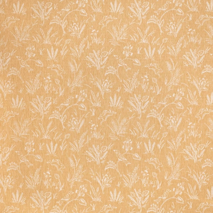 CB800-451 Fabric Charlotte Fabrics