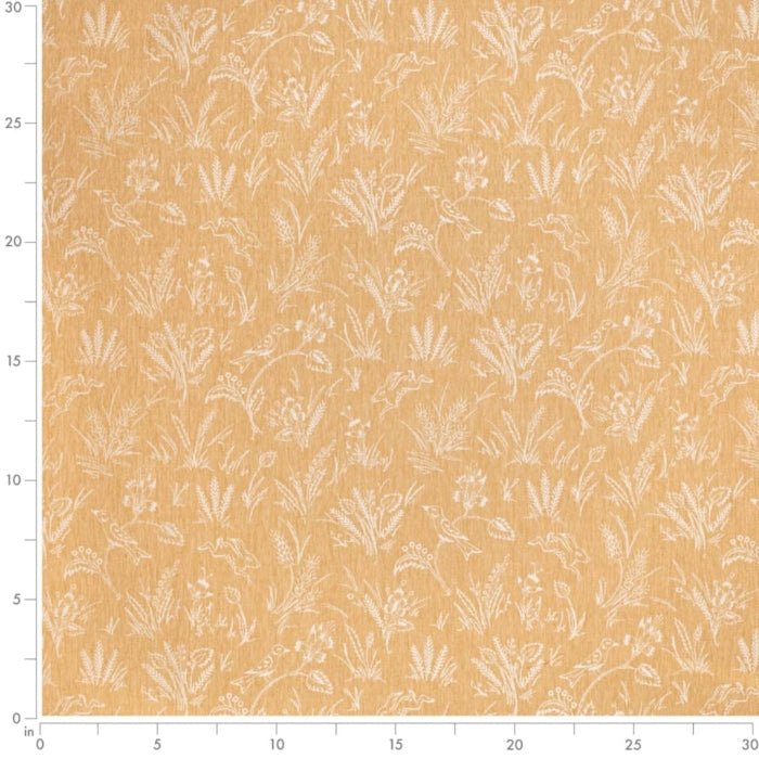 CB800-451 Fabric Charlotte Fabrics