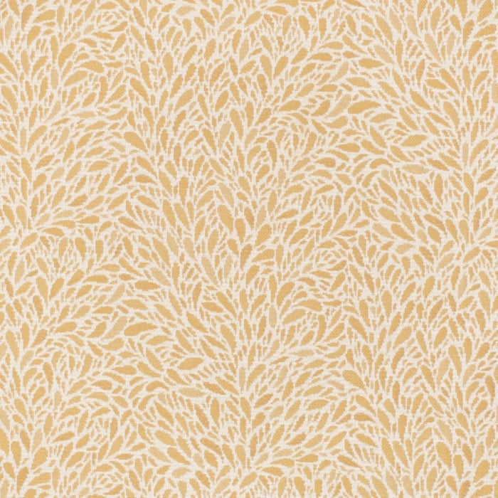 CB800-452 Fabric Charlotte Fabrics