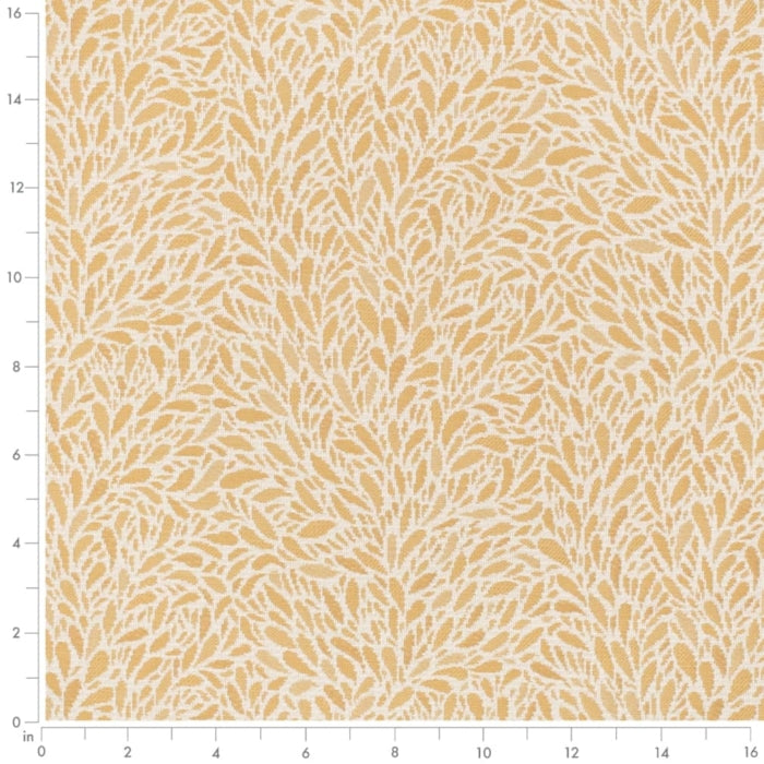 CB800-452 Fabric Charlotte Fabrics