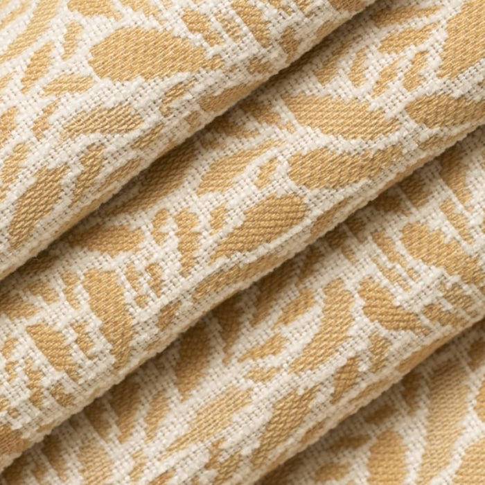 CB800-452 Fabric Charlotte Fabrics