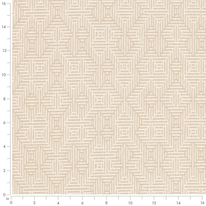 CB900-177 Fabric CB900-177 Charlotte Fabrics
