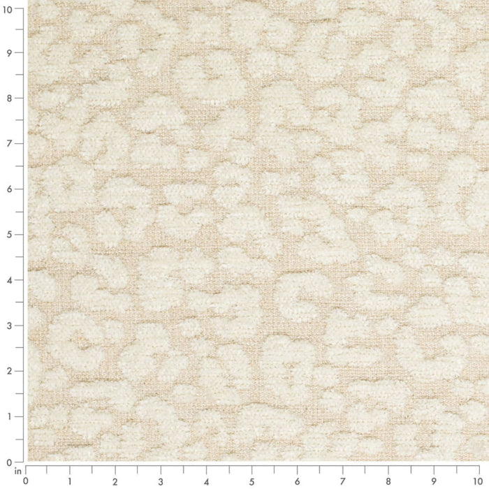 CB900-180 Fabric CB900-180 Charlotte Fabrics
