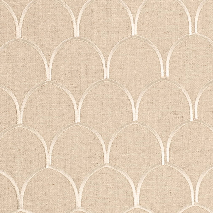 CB900-181 Fabric CB900-181 Charlotte Fabrics