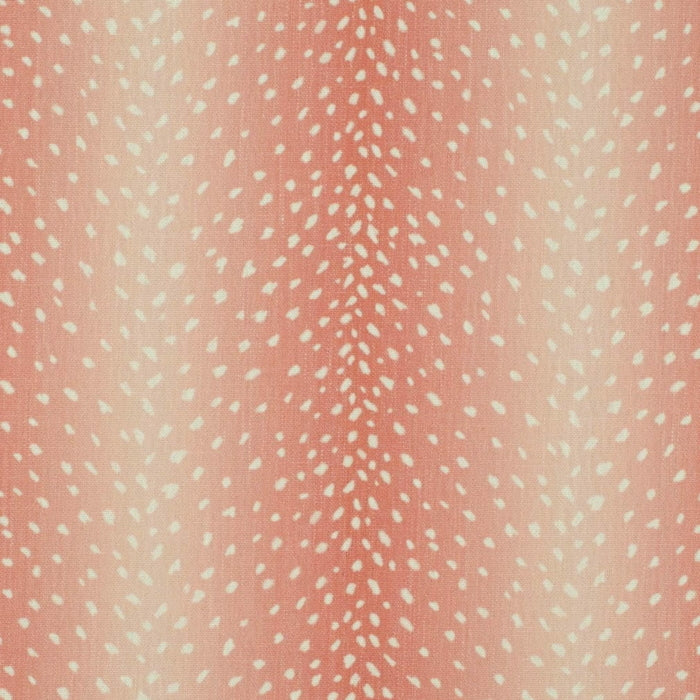 CB900-203 Fabric CB900-203 Charlotte Fabrics