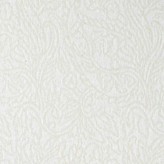 CB900-204 Fabric CB900-204 Charlotte Fabrics