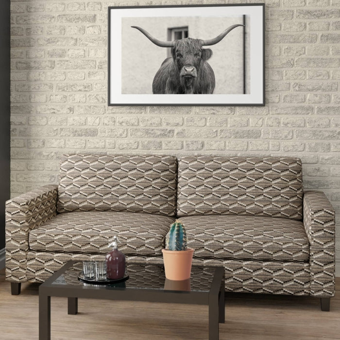 D2024 Graphite Fabric Charlotte Fabrics
