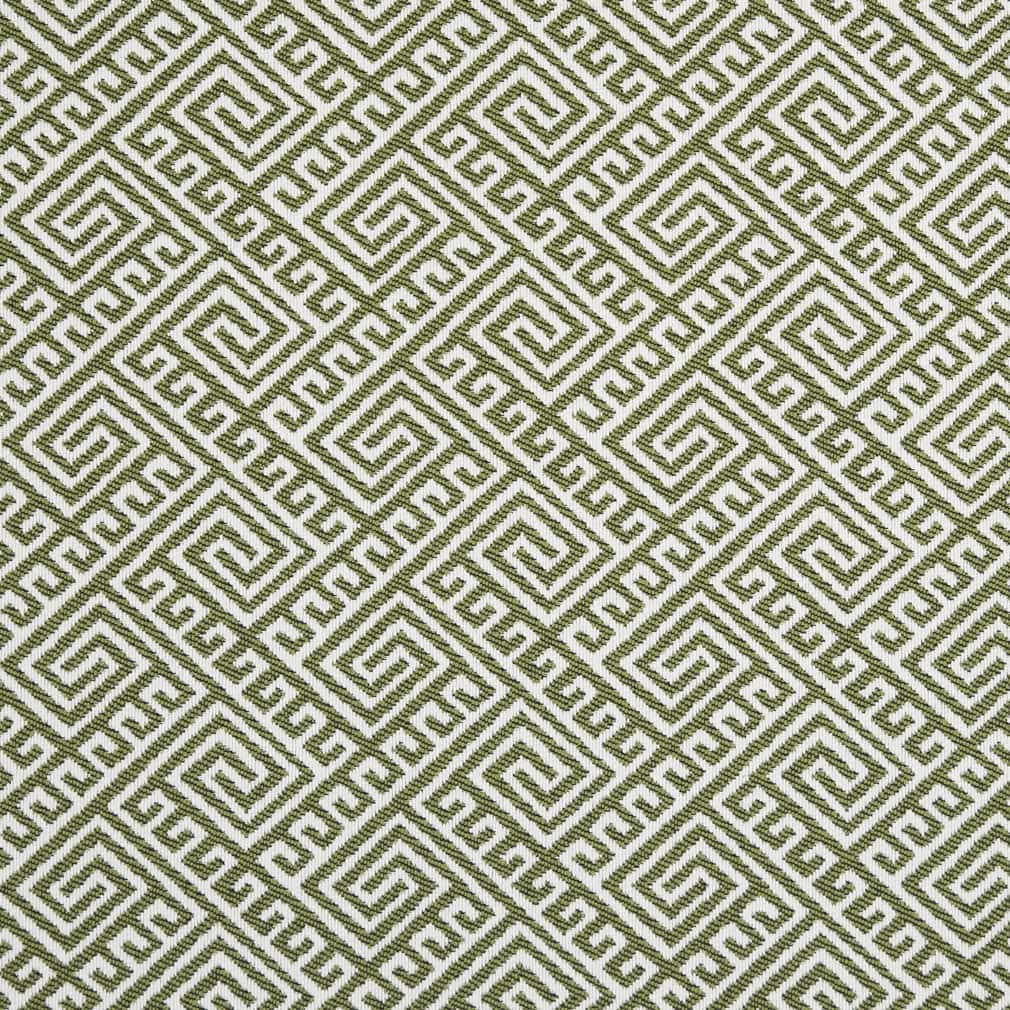 D2553 Lime Fabric Charlotte Fabrics