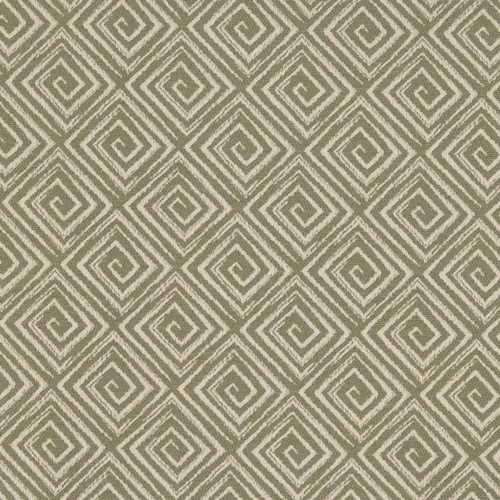 D3174 Sprout Fabric Charlotte Fabrics