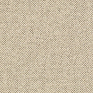 https://www.charlottefabrics.com/wp-content/uploads/2023/12/D3272-Beige-Cobble_Large-v1-300x300.jpg