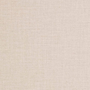 https://www.charlottefabrics.com/wp-content/uploads/2023/12/D3422-Silver_Large-v1-300x300.jpg