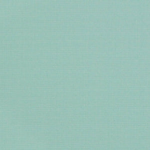 https://www.charlottefabrics.com/wp-content/uploads/2023/12/D3426-Mist_Large-v1-300x300.jpg
