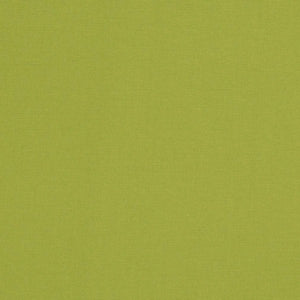 https://www.charlottefabrics.com/wp-content/uploads/2023/12/D3451-Lime_Large-v1-300x300.jpg