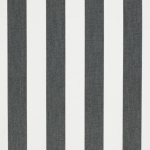 https://www.charlottefabrics.com/wp-content/uploads/2023/12/D3479-Cabana-Black_Large-v1-300x300.jpg