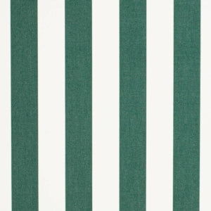 https://www.charlottefabrics.com/wp-content/uploads/2023/12/D3482-Cabana-Forest_Large-v1-300x300.jpg