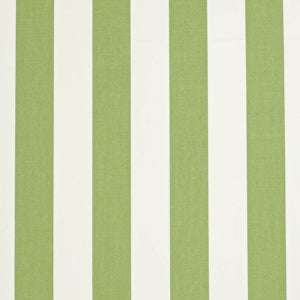 https://www.charlottefabrics.com/wp-content/uploads/2023/12/D3485-Cabana-Lime_Large-v1-300x300.jpg