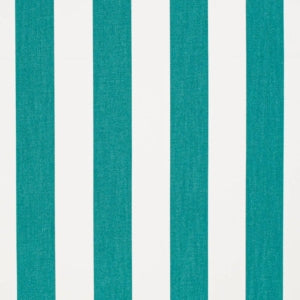 https://www.charlottefabrics.com/wp-content/uploads/2023/12/D3490-Cabana-Peacock_Large-v1-300x300.jpg