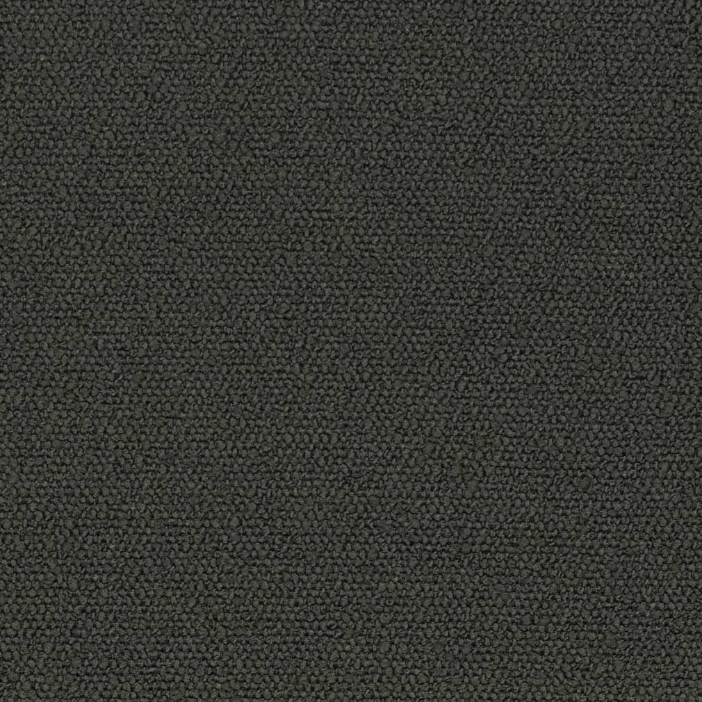 D3630 Coal Fabric Charlotte Fabrics
