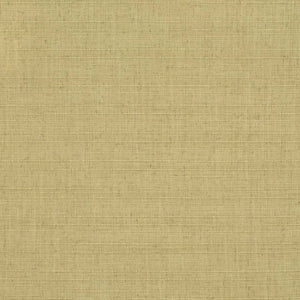 https://www.charlottefabrics.com/wp-content/uploads/2023/12/D3680-Pear_Large-v1-300x300.jpg