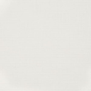 https://www.charlottefabrics.com/wp-content/uploads/2023/12/D3681-Snow_Large-v1-300x300.jpg