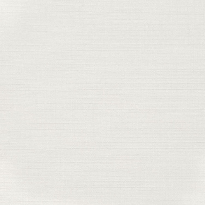 D3681 Snow Fabric D3681 Charlotte Fabrics