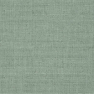 https://www.charlottefabrics.com/wp-content/uploads/2023/12/D3695-Seaglass_Large-v1-300x300.jpg