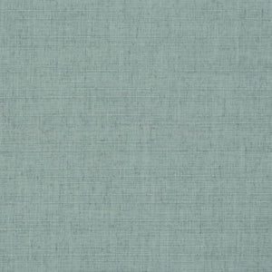 https://www.charlottefabrics.com/wp-content/uploads/2023/12/D3707-Mist_Large-v1-300x300.jpg
