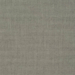 https://www.charlottefabrics.com/wp-content/uploads/2023/12/D3708-Mineral_Large-v1-300x300.jpg