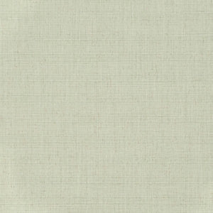 https://www.charlottefabrics.com/wp-content/uploads/2023/12/D3709-Mint_Large-v1-300x300.jpg