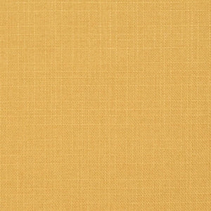 https://www.charlottefabrics.com/wp-content/uploads/2023/12/D3711-Amber_Large-v1-300x300.jpg