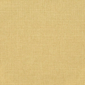 https://www.charlottefabrics.com/wp-content/uploads/2023/12/D3718-Citron_Large-v1-300x300.jpg