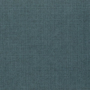 https://www.charlottefabrics.com/wp-content/uploads/2023/12/D3731-Harbor_Large-v1-300x300.jpg
