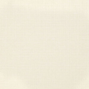 https://www.charlottefabrics.com/wp-content/uploads/2023/12/D3733-Alabaster_Large-v1-300x300.jpg