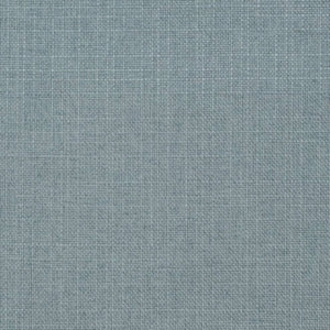 https://www.charlottefabrics.com/wp-content/uploads/2023/12/D3735-Powder-Blue_Large-v1-300x300.jpg