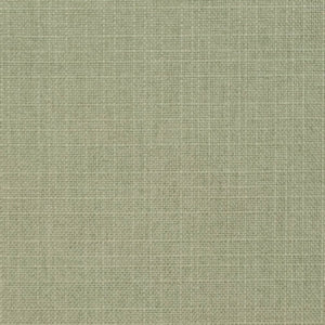 https://www.charlottefabrics.com/wp-content/uploads/2023/12/D3738-Sage_Large-v1-300x300.jpg