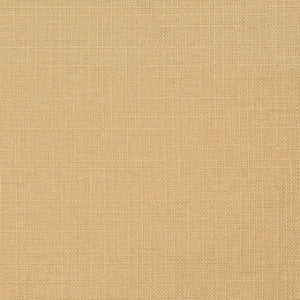 https://www.charlottefabrics.com/wp-content/uploads/2023/12/D3744-Barley_Large-v1-300x300.jpg