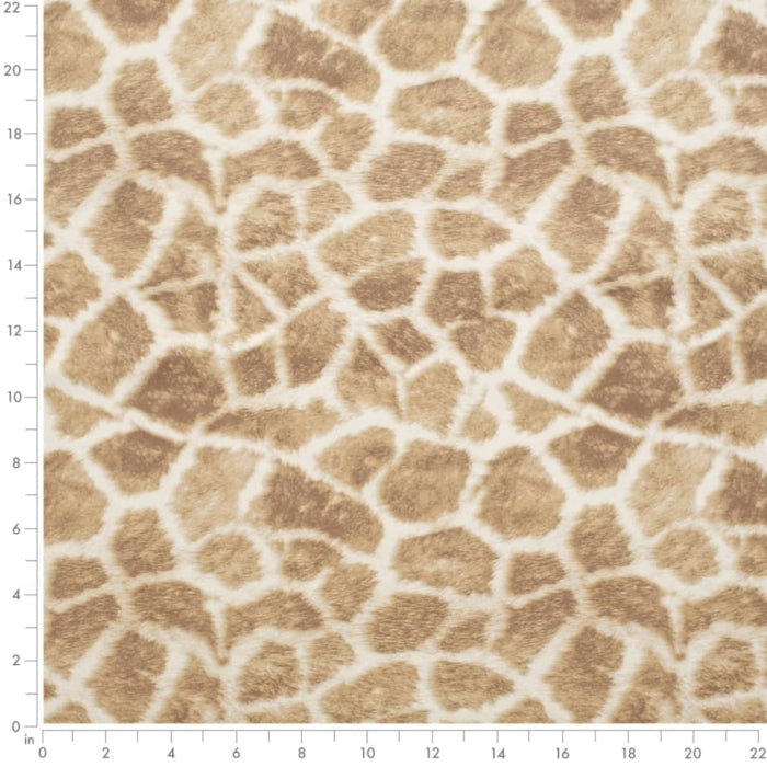 D3786 Bronze Fabric Charlotte Fabrics