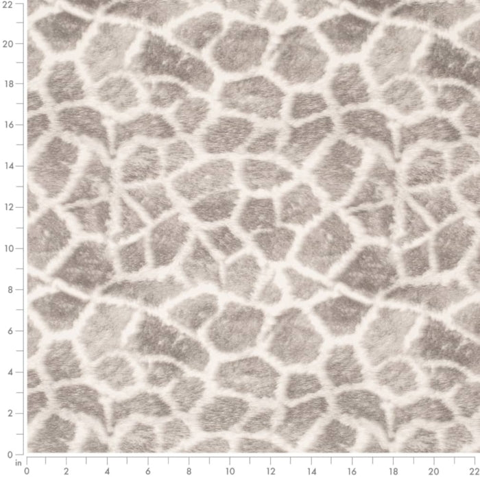 D3787 Stone Fabric Charlotte Fabrics