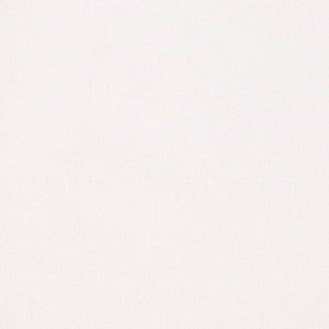 https://www.charlottefabrics.com/wp-content/uploads/2023/12/D3998-Snow_Large-v1-300x300.jpg