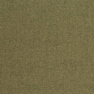 https://www.charlottefabrics.com/wp-content/uploads/2023/12/D4005-Fern_Large-v1-300x300.jpg