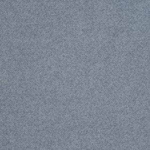 https://www.charlottefabrics.com/wp-content/uploads/2023/12/D4018-Sky_Large-v1-300x300.jpg