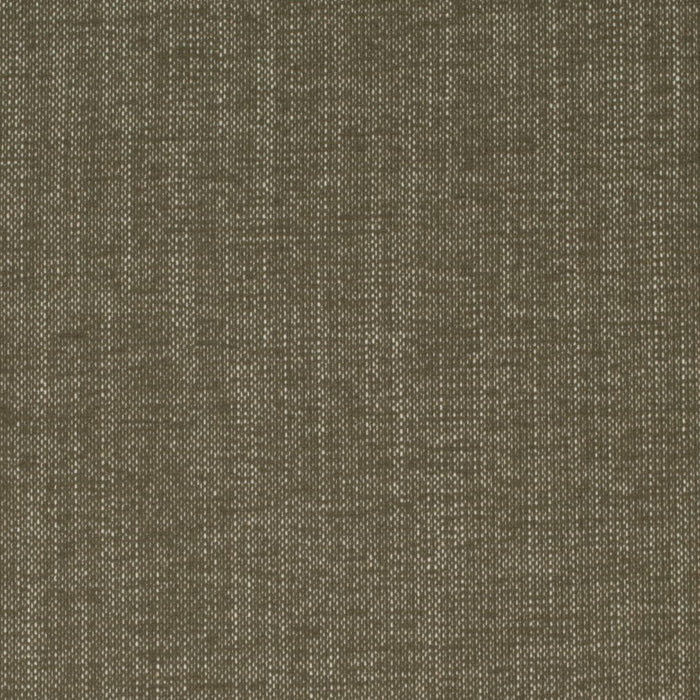 https://www.charlottefabrics.com/wp-content/uploads/2024/02/D4163-Moss_Large-v1-700x700.jpg