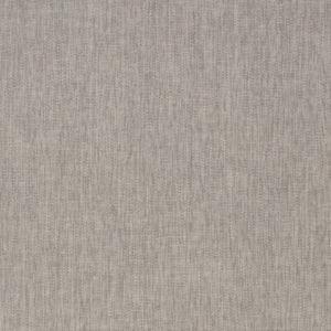 https://www.charlottefabrics.com/wp-content/uploads/2024/02/D4231-Nickel_Large-v1-300x300.jpg