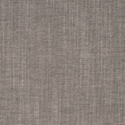 D4243 Flint Fabric Charlotte Fabrics