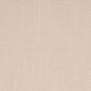 https://www.charlottefabrics.com/wp-content/uploads/2024/02/D4254-Flax_Large-v1-300x300.jpg